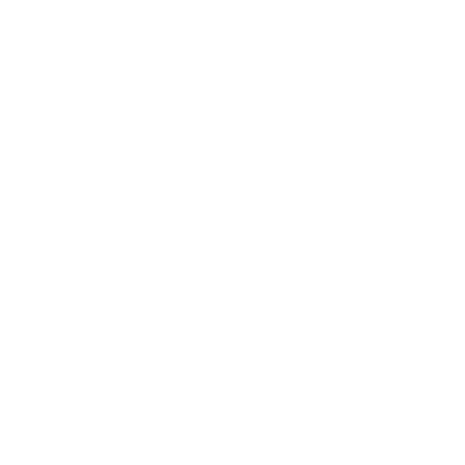 ERC Consolidator Fellow Holographic Bioprinting